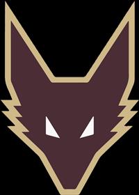 Team Picture